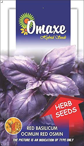 See full amazon price history chart for Omaxe Seeds Basil Purple Herb Seeds Kitchen Garden Packet Omaxe Seeds Basil Purple Herb Seeds Kitchen Garden Packet (B07MJLDFB2) Amazon Price History, Amazon Price Tracker