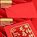 Patemby 36Pcs Chinese New Year Red Envelopes, 12 Gold Embossed Horse Patterns Chinese Lunar New Year Red Packet, Bulk Horse Year Lucky Money Envelopes for All Occasion (Horse)