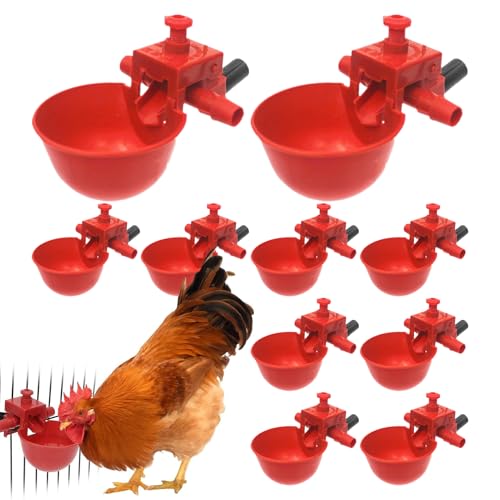 `LEH[^[JbvAƋאUJbv | `LEH[^[Jbvo[hR[v,Ђ悱K`Eʒ̃oj[p̒\Ȉ҂ƃt[htB[_[