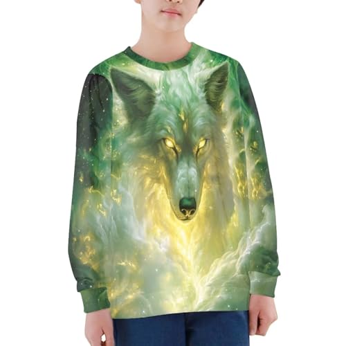 Boys Crewneck Sweatshirts 3D Printed Cool Lightweight T-shirts 6-16T Pullover Tops for Kids3