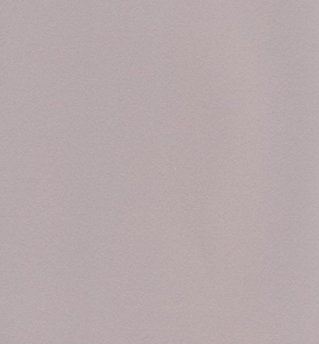 エスケント ケント紙 スターカラー 八切 バーチグレイ 100枚 5724008