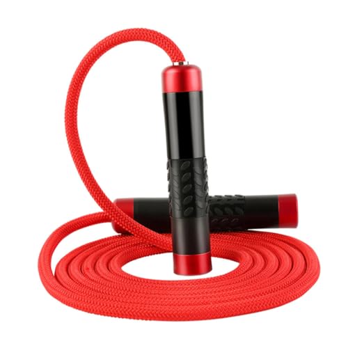 DECORNIJIA d\tBbglX꒵ ϋvg[jOpѓ J[fBIL_f^ jp