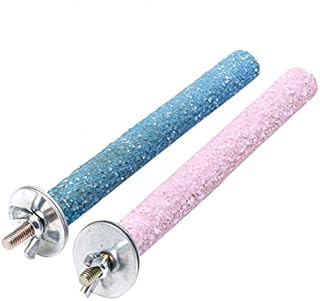 Grinding Surface Parakeets Finches Parakeet