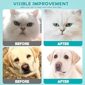   Dog-and-Cat-Eye-Wipes-Gently-Remove-Tear-Stains-Mucus-Secretions-Aloe-Vera-Extract-Beauty-CleanEye-Care-for-Dogs-and-CatsSterile-Cat-and-Dog-Wipes-Formulated-to-Remove-Eye-Debris-100-count