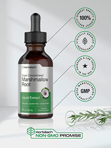 Marshmallow Root Liquid Extract | 2 Fl Oz | Althaea Officinalis | Alcohol Free | Vegetarian, Non-Gmo & Gluten Free | By Horbaach #TOP4