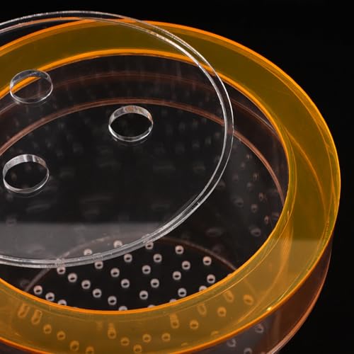 Boîte d'isolement pour poissons avec circulation d'eau optimale - 4