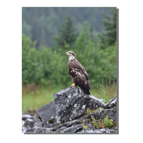 G C[O hG (t[X) l̎q̂߂̃Mtg ŃyCg SҌ LbgŃyCg fW^G i 100x135cm uVƃANG̋Ă܂ DIY Paint by Numbers rO[ C