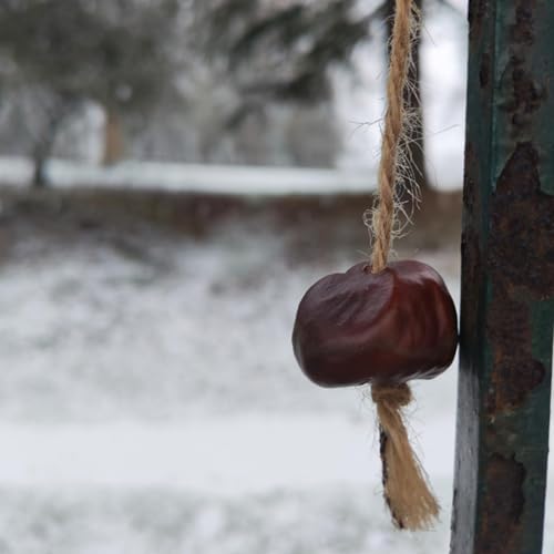 Mindful Moment: Walking in the Snow