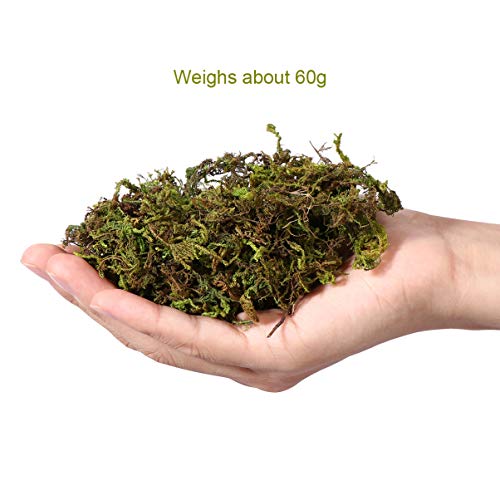 WINOMO Artificial Moss Fake Green Moss Decorative Fake Bulk for Plant Garden Lawn Crafts Decoration 60g/pack