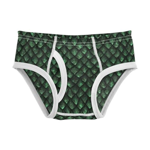 Boys' Exclusive Briefs Toddler Underwear 95% Combed Cotton Boxerbriefs 2T Dragon Scale Pattern 4