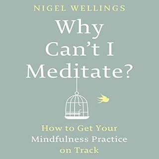 Why Can't I Meditate? Audiolibro Por Nigel Wellings arte de portada