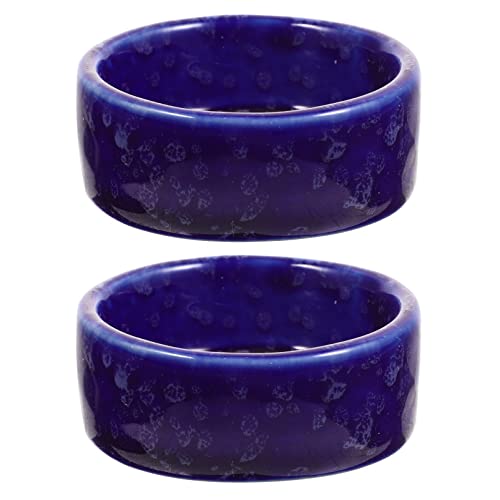 Can Hamsters Eat Dragon Fruit? (Benefits, Hazards & More)