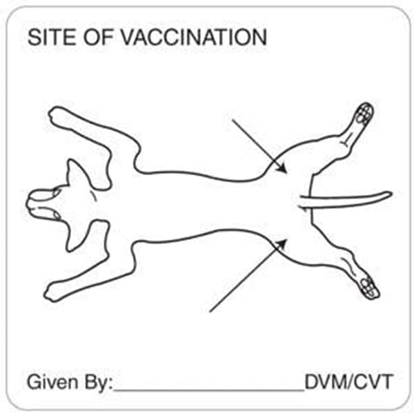 Veterinarian Vaccination Record Labels, Canine, Doctor Stuff Veterinarian Stickers, 2-1/2" x 2-1/2", White, 320/Roll, Tabbies Vet V-AN451