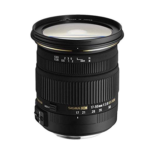 Sigma 24-70mm f/2.8 lens