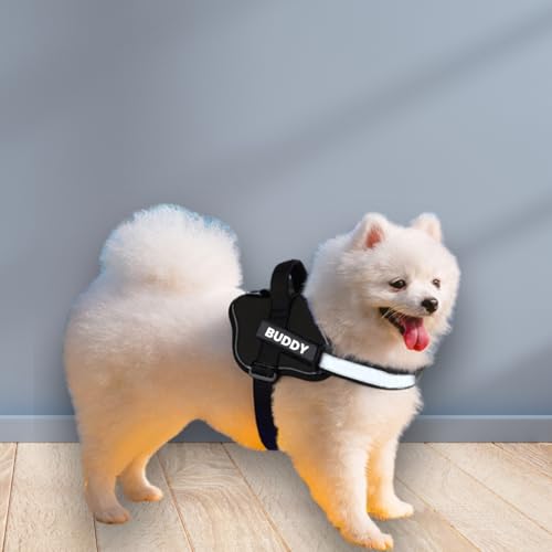 PAYTON-PERRY-Dog-Vest-Harness-with-Leash-Dog-Belt-for-Small-Dogs-No-Pull-Adjustable-Vest-Harness-for-Small-Dogs-Pomeranian-Beagle-Bulldog-S-Black-Recommended-for-5-13KG-Pets