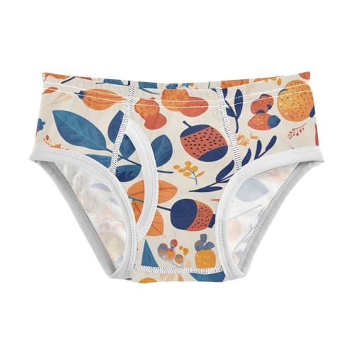 KLL Acorns with Decorative Trees Boys Toddler Cotton Underwear Briefs Cute Undies