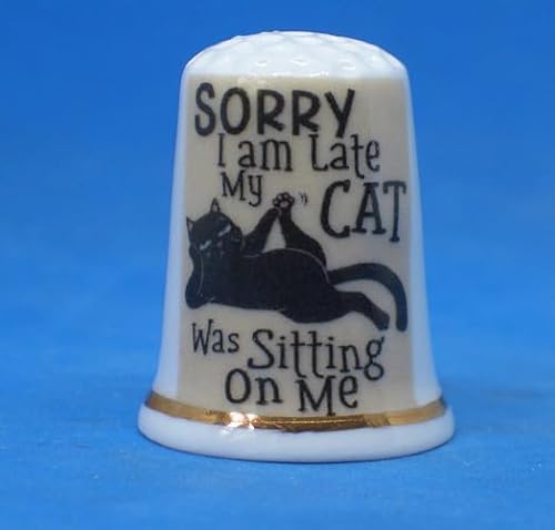 Birchcroft Porcelain China Collectible Thimble - Cat Sitting - with Display Box
