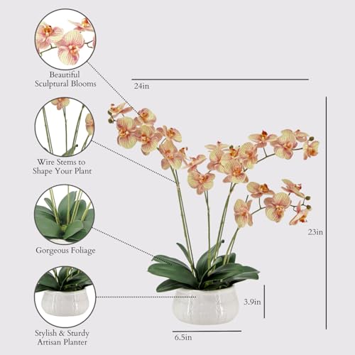 Image of CG Hunter, Faux Orange Orchid Plant, 23 in, White, Home Decor