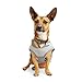 Reddy Grey/Red Cooling Dog Vest, Large