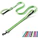 Weimostar Reflective Nylon Dog Leash Double Handle Padded Heavy Duty Outside Puppy Training Lead for Small Medium Breed Pet Dogs, 4FT Long 0.78 inch Wide Green