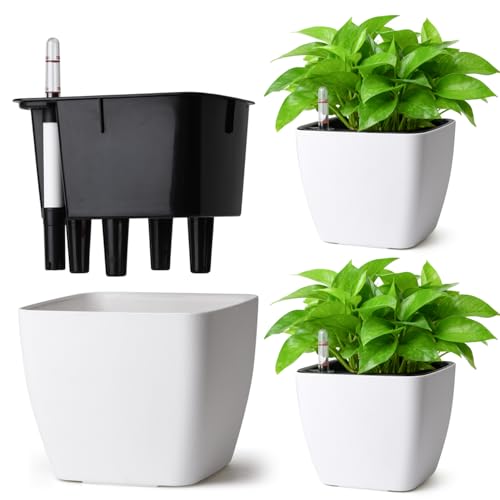 T4U Macetero de plástico de 13 cm con sistema de riego con indicador, rectangular, maceta de autorriego, juego de 3 unidades, maceta autoregante para interiores, macetas para plantas de interior