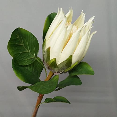 Magnolia - Piante E Fiori Artificiali / Decorazioni Per Interni