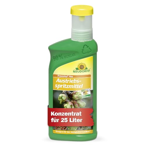 Neudorff Promanal Neu Austriebsspritzmittel – Konzentrat zur Bekämpfung von überwinternden Schädlingen wie Spinnmilben an Obst- & Ziergehölzen, 500 ml