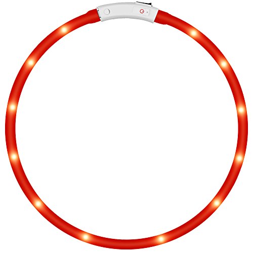 DLAND - Collare LED per cani, USB, ricaricabile