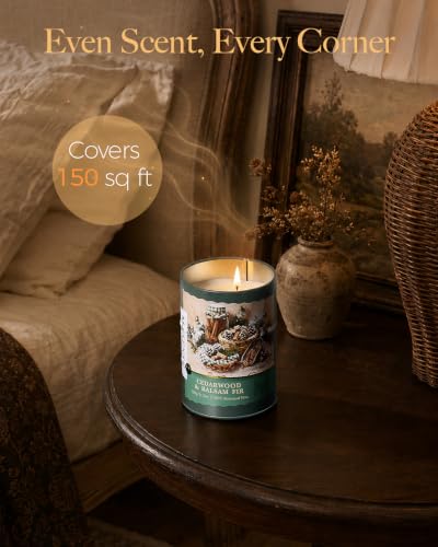 Image of M&SENSE Cedarwood Balsam Fir Scented Soy Candles, 11.3 oz