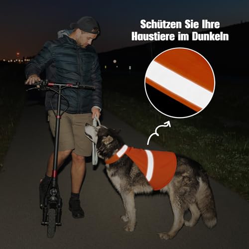 Warnweste Hund mit reflektierenden Elementen für Outdoor Aktivitäten Tag und Nacht, Verstellbar Sicherheitsweste für Hunde für Hält den Hund Sichtbar mehr Sicherheit im Dunkeln Orange XL
