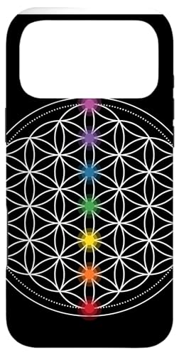 �`���N���̃V���{���Ɛ����̉ԁA�_���Ȋ􉽊w��䶗��B �X�}�z�P�[�X iPhone 17 Pro Max �p