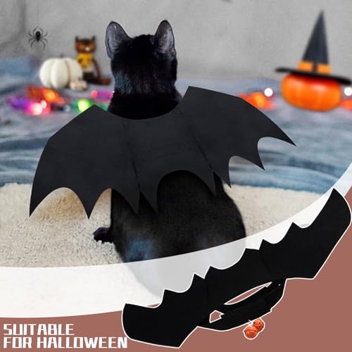 Halloween Kostüm Katze Fledermaus Flügel,Haustier Katzen Kleidung Fledermausflügel Costume,Pet Cat Bat Wings Kostüme Schwarze Katzenkostüm mit Kürbisglocken,für Haustiere Kitten Cats Cosplay Clothing