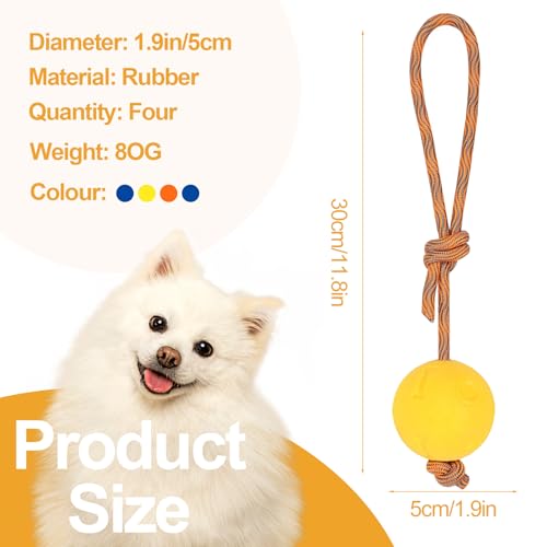 4 Stück Ball mit Schnur Hund, ø 5/30 cm Wurfball am Seil Naturkautschuk, Hundespielzeug Ball mit Seil extrem Weite Würfe, Hundeball Snackball, Hundebälle Kleine Hunde, Große Hunde (Rot Gelb Blau)