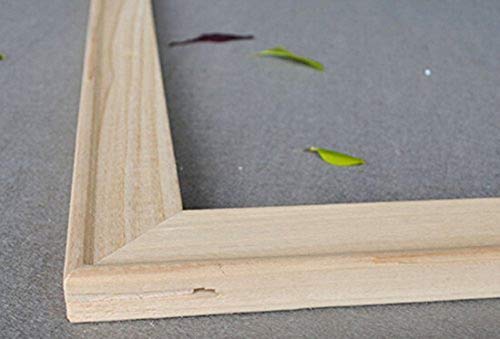 DIY Solid Wood Canvas Frame Kit 16 x20 Inch for Oil Painting & Wall Art Wooden Art Frames for Paintings & Canvases - Easy to Build Canvas Stretching System - Framed Picture Accessories (16\'\'20\'\')