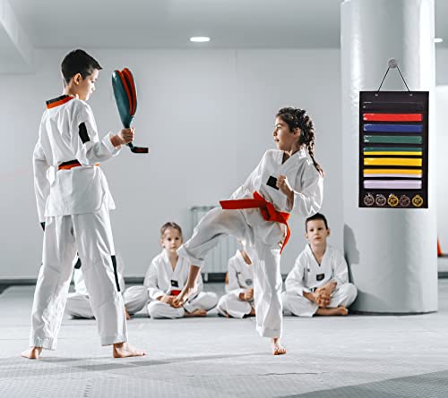 Zfzgfrcs Karate Martial Arts Belts Storage Martial Arts Belts Organizer Bag Martial Arts Taekwondo Belt Display Holder-Holds 8 Karate Belts And 5 Medals, Durable & Dust-Proof (Black) #TOP5