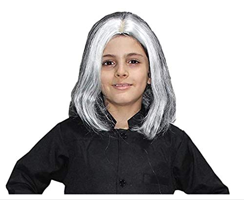 Kaku Fancy Dresses Abdul Kalam Hair Wig -Grey, Free Size, for Boys (B07CYVC1MS) Amazon Price History, Amazon Price Tracker