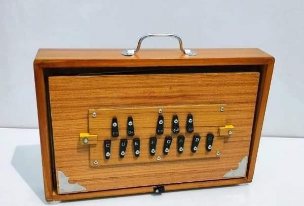 Hochwertige Shruti-Box, 38,1 x 25,4 x 7,6 cm, Teakholz und Sperrholz, 440 Hz und 432 Hz, Sur Pete mit Padel