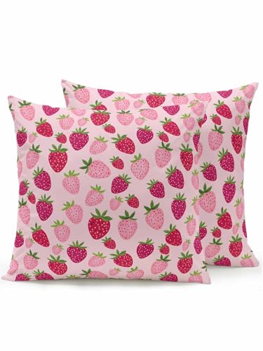 Ldtrchee Outdoor Throw Pillow Set of 2, Red Pink Strawberry
