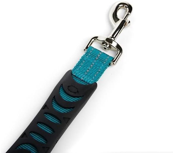 EveryYay by Petco Settin' the Pace Running Belt & Leash Set for Dogs Teal 34-in Long 1.5-in Wide