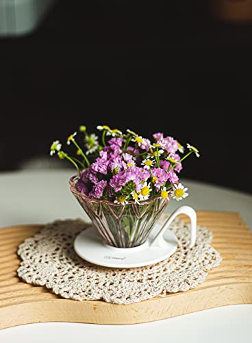 Hero Petal Glass Coffee Dripper V60 Barista Pour Over Hand Drip Brewer Pink #TOP1