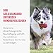 KONG Classic - Füllbares Hundespielzeug - Apportier- und Kauspielzeug für Hunde - Kann Mit Leckerlis Gefüllt Werden - Strapazierfähiges Naturkautschukmaterial - Für Kleine Hunde