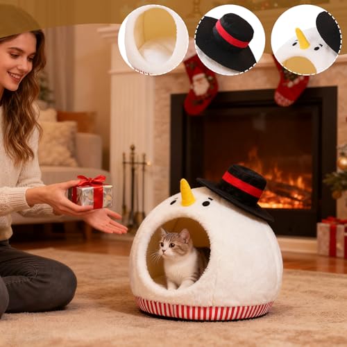 Lit pour chat fermé protégeant du froid avec son tapis lavable