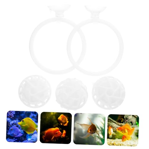 Set de entrenamiento y filtro para pez Betta con ventosa fuerte miniatura 7