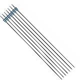 RedOak 30 inch Archery Arrows for Recurve Bow Fiberglass Target Practice (6 pcs) - Blue