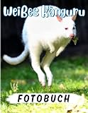  Weißes Känguru Fotobuch: Extrem seltenes Tierfotografiebuch für Dekor  Geschenke mit 40 Abbildungen Seiten für jeden Anlass