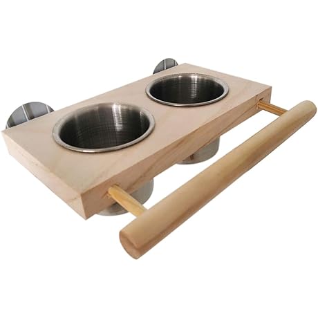 Stainless Steel Hanging Bird Feeder for African Greys and Budgies