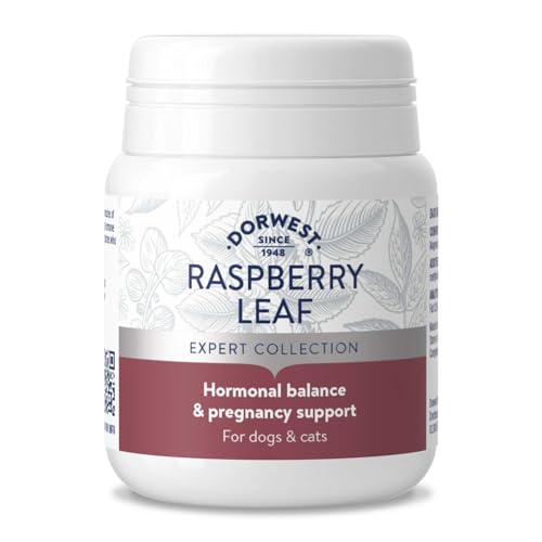 Dorwest Raspberry Leaf Tablets for Dogs And Cats, 100 Tablets, Pregnancy Support For Pets – For Natural Hormonal Balance and Phantom Pregnancies