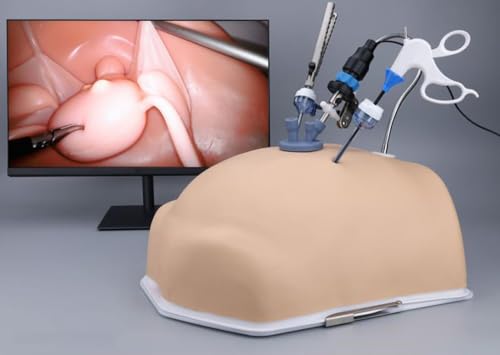 UIGJIOG Boîte de Formation à l'enseignement Abdominal, kit de Suture