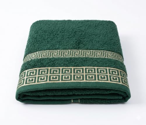 Image of Zym Multi Purpose Towel Set | 100 Cotton Soft Absorbent Bath and Kitchen (19 Inch X 33 Inch) Pack of 2 Blue