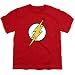 Youth Flash Lightning Bolt Logo T Shirt for Boys & Stickers